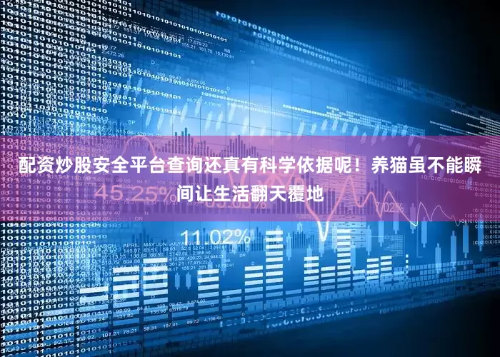 配资炒股安全平台查询还真有科学依据呢！养猫虽不能瞬间让生活翻天覆地