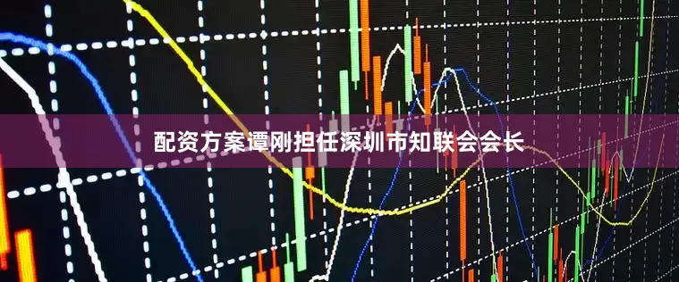配资方案谭刚担任深圳市知联会会长