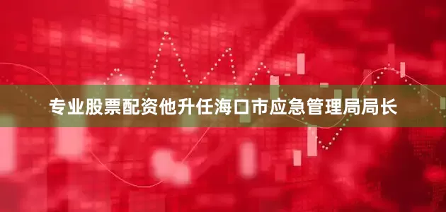 专业股票配资他升任海口市应急管理局局长
