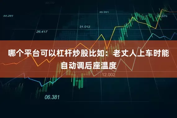 哪个平台可以杠杆炒股比如：老丈人上车时能自动调后座温度