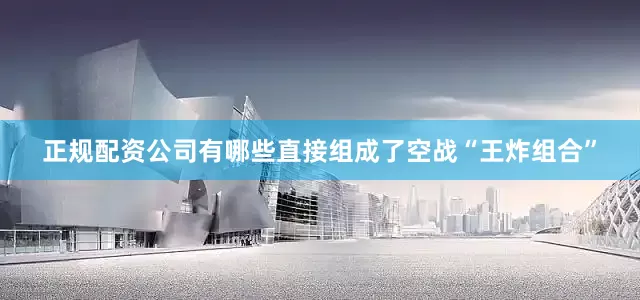正规配资公司有哪些直接组成了空战“王炸组合”