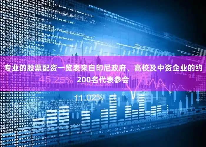 专业的股票配资一览表来自印尼政府、高校及中资企业的约200名代表参会