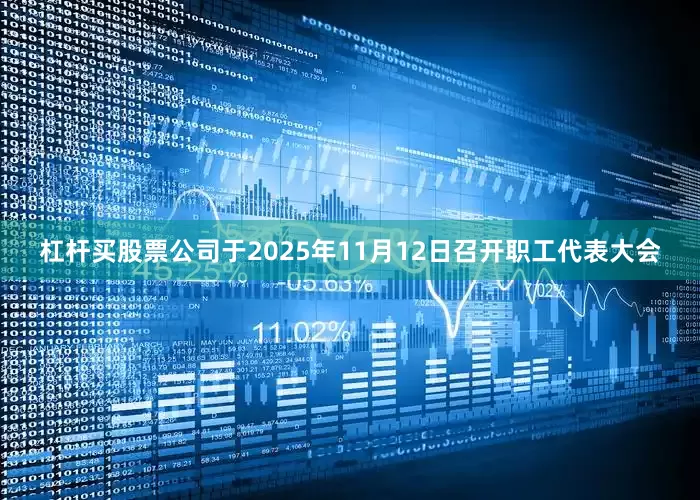 杠杆买股票公司于2025年11月12日召开职工代表大会